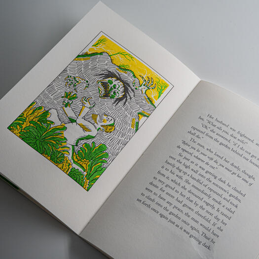 Rapunzel Book